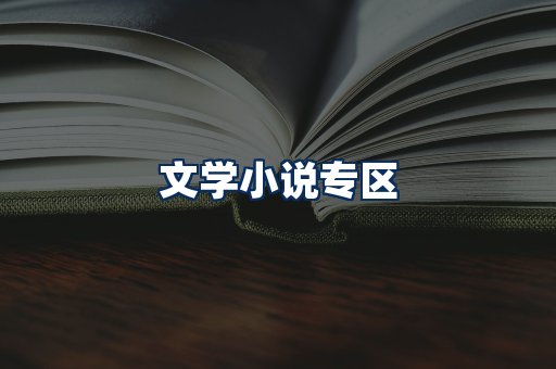 文学小说PDF展示